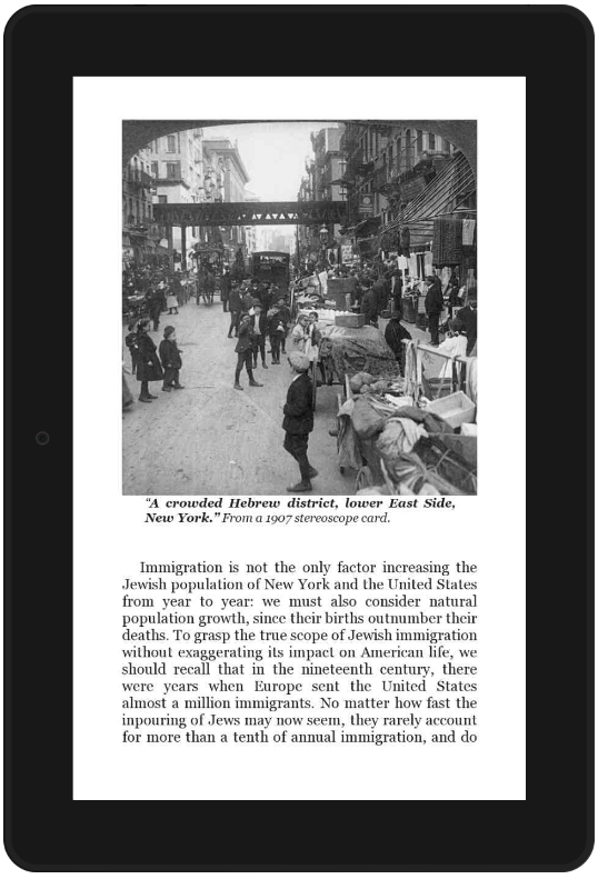 2nd screen shot from "Jewish Immigrants" book